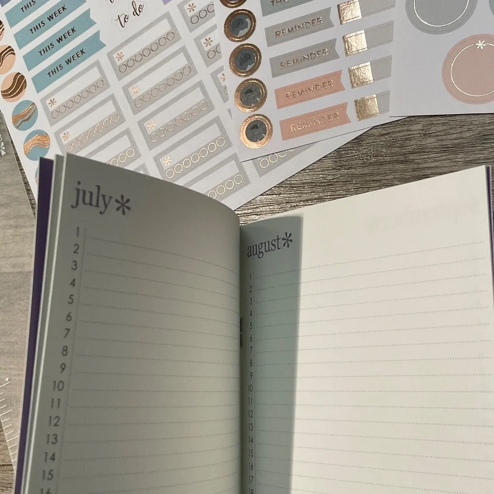 Erin Condren Bundle of Sticker Sheet perfect for Journals/Planners/Calendars